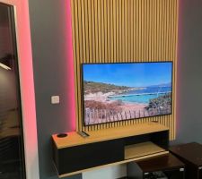 Cr&eacute;ation meuble salon