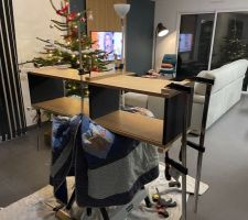 Cr&eacute;ation meuble salon