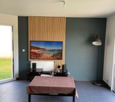 Création meuble salon