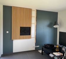 Cr&eacute;ation meuble salon