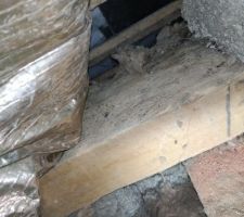 Plancher sous sabliere
