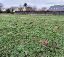 Terrain vu du pignon implanté au Sud.