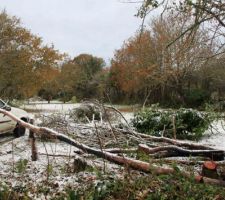 Le terrain presque pr&ecirc;t