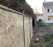 Coupe des sapins