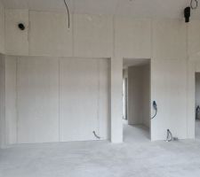 Bibliothèque - couloir d'entrée - poêle - entrée du bureau