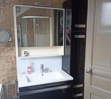 Les meubles de salle de bain de la maison principale, lors de l'achat.