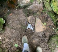 Abords boueux  de la source