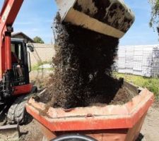 Le dumper qu'on a loué cette fois est plus petit. La benne fait tout juste la largeur du godet de curage. On en prends plein la tronche lors du chargement, et au bout de 4 godets il est déjà plein.