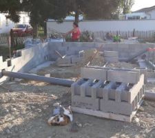 Tout le monde bosse sur le chantier, sauf le chat qui se repose un peu à l'ombre.