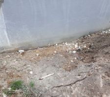 Pour se casser la tête? on fout tout dans le terrain