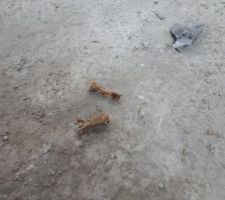 Le dépotoir créé par Maisons LELIEVRE