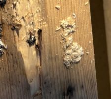 Pannes en lamellés collés sous les intempéries.