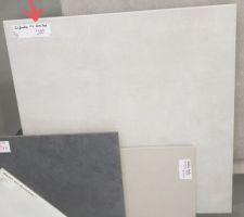 Carrelage Infinity gris clair 45x45cm (rdc sauf pièces d'eau)