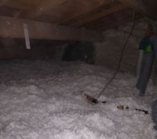 Les nouveaux Flocons