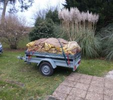 Evacuation de l'ancienne laine