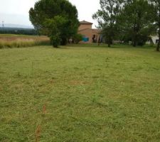 Entretien du terrain