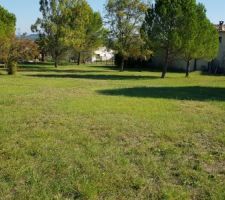 Entretien du terrain et prise de niveau