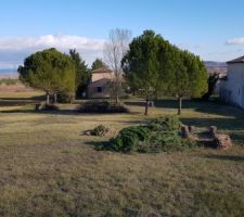 Pr&eacute;paration du terrain pour la construction