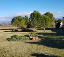 Préparation du terrain pour la construction
