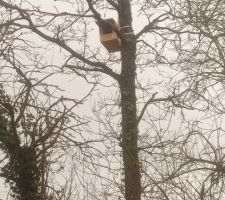 Nichoir à oiseaux, espèce ciblée le Faucon crécerelle