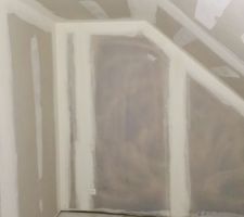 Moisissures traitées