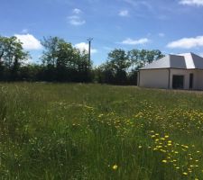 Maison des voisins finis