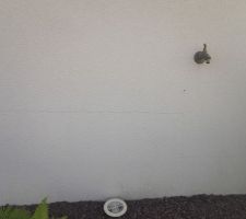 Le crépis est une catastrophe. au bout de même pas 2 ans il fissure et micro fissure sur les 4 côtés de la maison