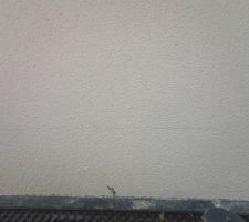 Le crépis est une catastrophe. au bout de même pas 2 ans il fissure et micro fissure sur les 4 côtés de la maison