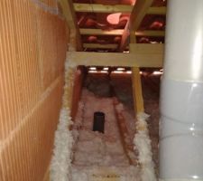 Notre évent de fosse n'était pas raccordé en toiture. Nous avions toutes les odeurs qui se rejettaient dans les combles et donc après chaque douche ou coulée d'eau nous avions une odeur d'excréments dans la maison