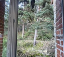 Après changement de l'ancienne porte du 2ème étage, on voit la poulie et la vue sur la forêt de pins