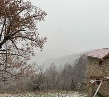 Neige
