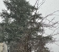 Neige