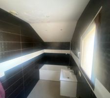 La seul est unique salle de bain de la maison - Jour de la première visite