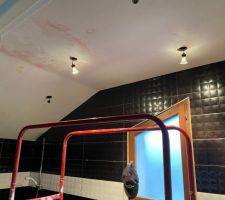 Travaux plafond Salle De Bain