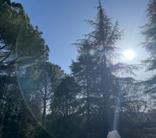 Ce soleil