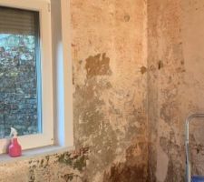 D&eacute;tapissage pour &eacute;tat des lieux