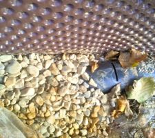 Composition du drain