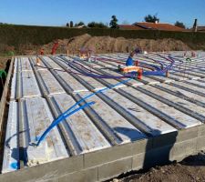 Vide sanitaire en cours