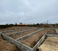 Vide sanitaire en cours