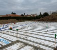 Vide sanitaire en cours