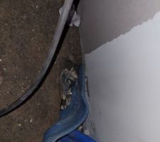 Recherche de fourreau dans le cellier, dalle cassée du coup!!!