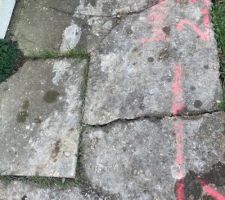Dalle où pass l?évacuation d?eau de pluie des voisins.