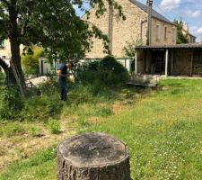 Souche &agrave; supprimer