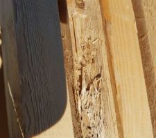 Charpente industrielle livrée dans un piteux état : effilochage, gros noeux, non plates, gerces importantes,