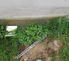 D'apr&egrave;s mon constructeur, pas besoin de drain. ?!
20 cm d'eau au droit du mur.
