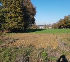Première visite sur le terrain et découverte des chênes situés à l'Ouest