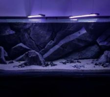 L'aquarium enfin termine