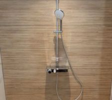 Douche du RDC - mitigeur Grohe Smartcontrol