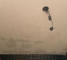 Plafond salle de bain