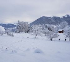 1ère neige sur notre terrain